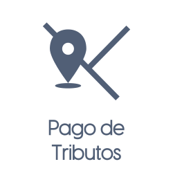 Pago de tributos