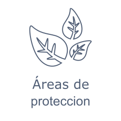 Listado de consultas por areas de proteccion