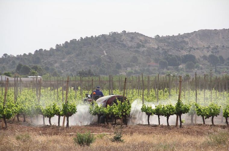 <em>Editar Noticia</em> Campaña de recolección de desechos agrícolas