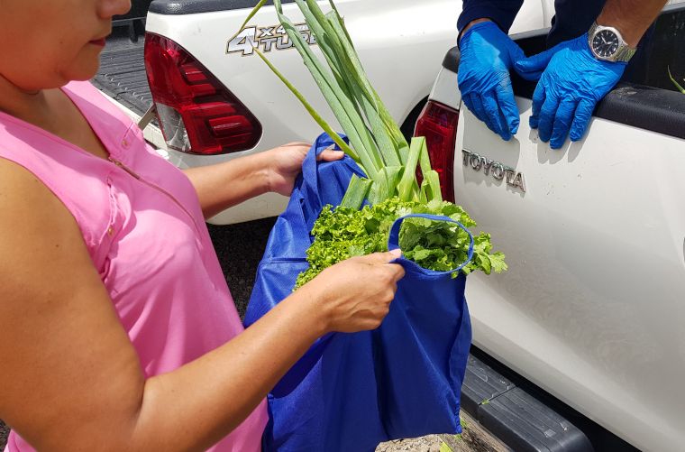 Procedimiento para solicitar ayudas de alimentación - Mayo - 2020