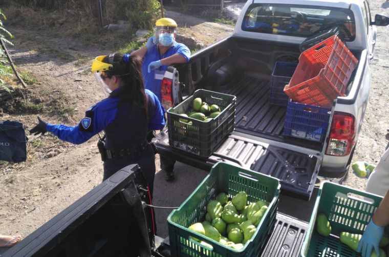 Empresarios, agricultores y Municipalidad se unieron para dar alimento a familias en crisis