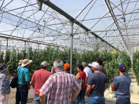 Proyecto de nuevos invernaderos para agricultores escazuceños - Octubre - 2019