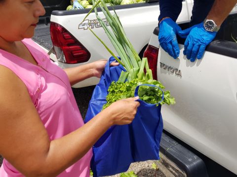 Procedimiento para solicitar ayudas de alimentación - Mayo - 2020