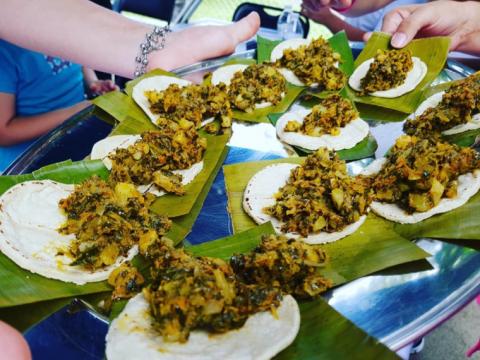 El picadillo de chicasquil más grande del país