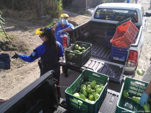 Empresarios, agricultores y Municipalidad se unieron para dar alimento a familias en crisis